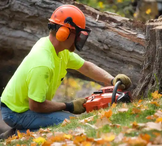 tree services Trent Woods